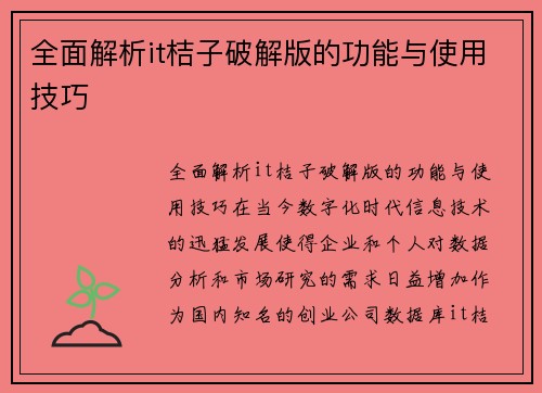 全面解析it桔子破解版的功能与使用技巧